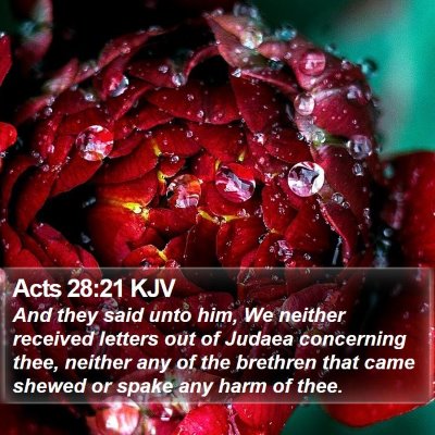Acts 28:21 KJV Bible Verse Image