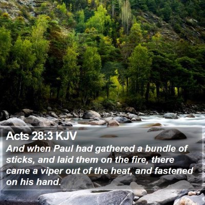 Acts 28:3 KJV Bible Verse Image