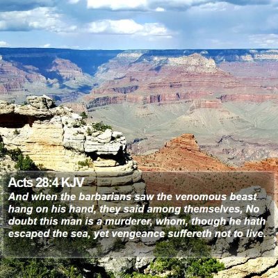 Acts 28:4 KJV Bible Verse Image