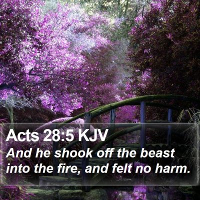 Acts 28:5 KJV Bible Verse Image