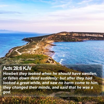Acts 28:6 KJV Bible Verse Image