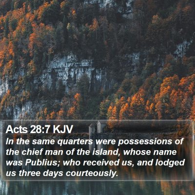 Acts 28:7 KJV Bible Verse Image