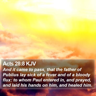 Acts 28:8 KJV Bible Verse Image