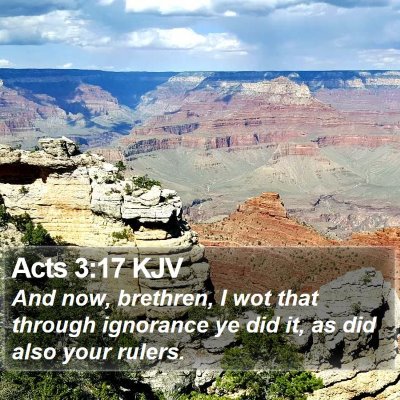 Acts 3:17 KJV Bible Verse Image