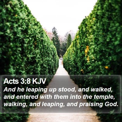 Acts 3:8 KJV Bible Verse Image