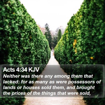 Acts 4:34 KJV Bible Verse Image
