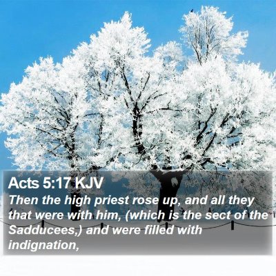 Acts 5:17 KJV Bible Verse Image