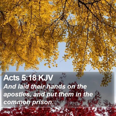 Acts 5:18 KJV Bible Verse Image