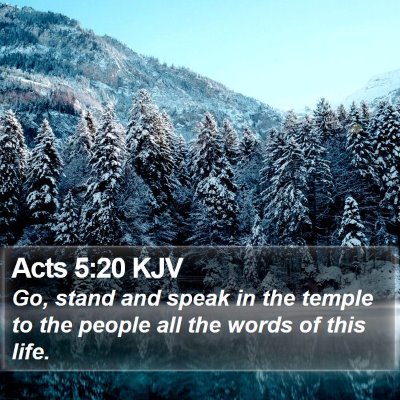 Acts 5:20 KJV Bible Verse Image