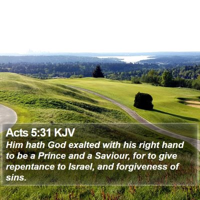 Acts 5:31 KJV Bible Verse Image