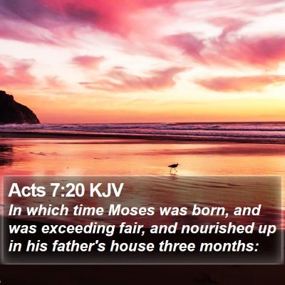 Acts 7:20 KJV Bible Verse Image
