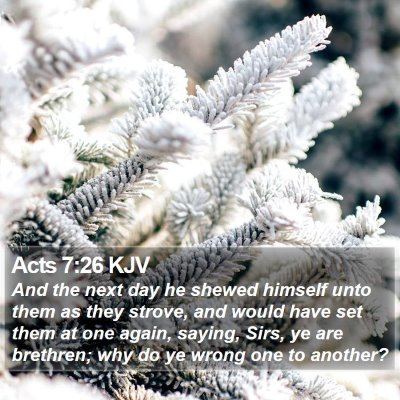 Acts 7:26 KJV Bible Verse Image