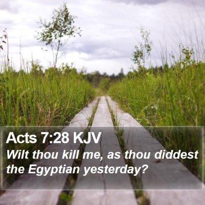 Acts 7:28 KJV Bible Verse Image