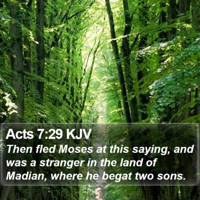 Acts 7:29 KJV Bible Verse Image