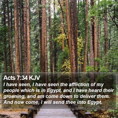 Acts 7:34 KJV Bible Verse Image