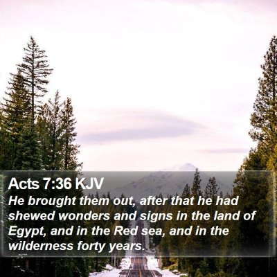 Acts 7:36 KJV Bible Verse Image