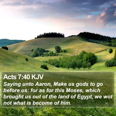 Acts 7:40 KJV Bible Verse Image