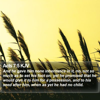 Acts 7:5 KJV Bible Verse Image