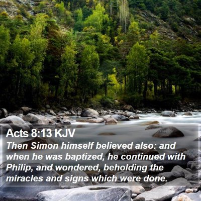 Acts 8:13 KJV Bible Verse Image