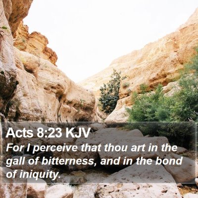 Acts 8:23 KJV Bible Verse Image