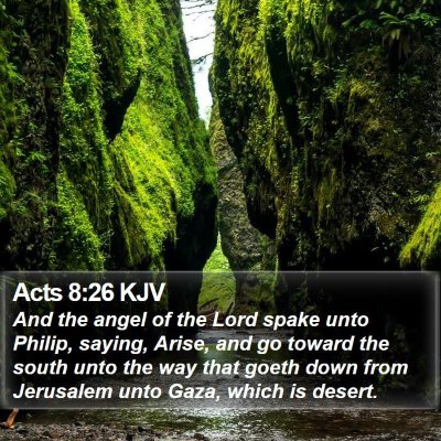 Acts 8:26 KJV Bible Verse Image