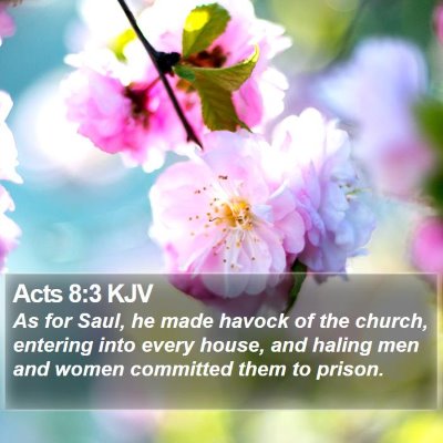 Acts 8:3 KJV Bible Verse Image