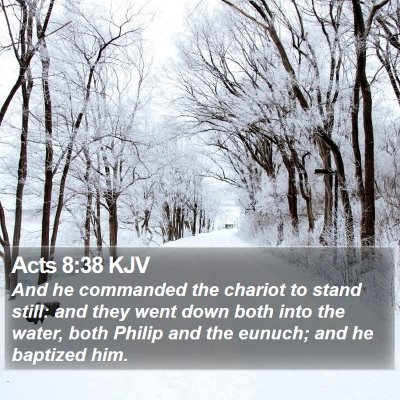 Acts 8:38 KJV Bible Verse Image