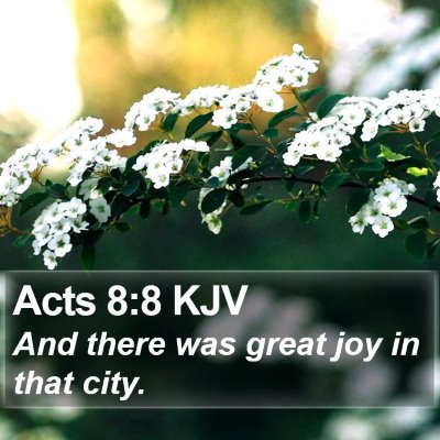 Acts 8:8 KJV Bible Verse Image