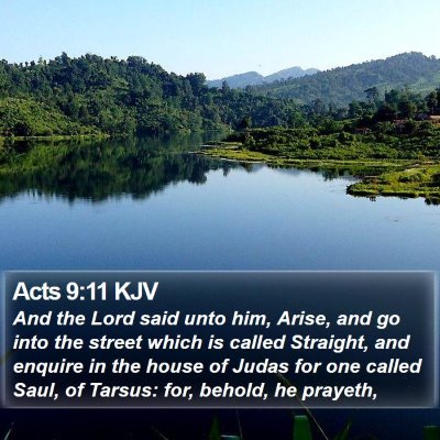 Acts 9:11 KJV Bible Verse Image