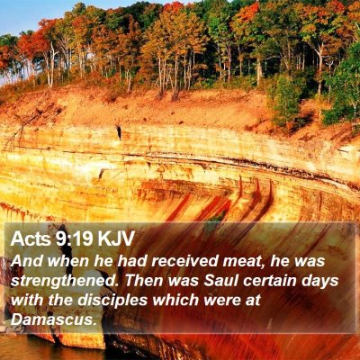 Acts 9:19 KJV Bible Verse Image