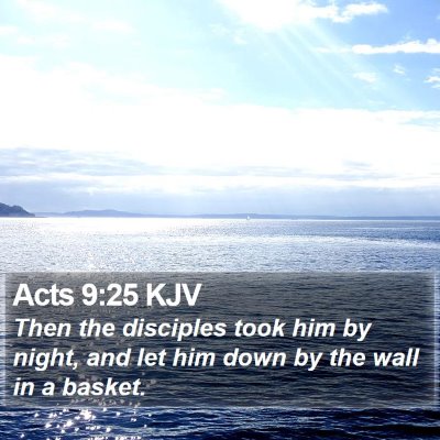 Acts 9:25 KJV Bible Verse Image