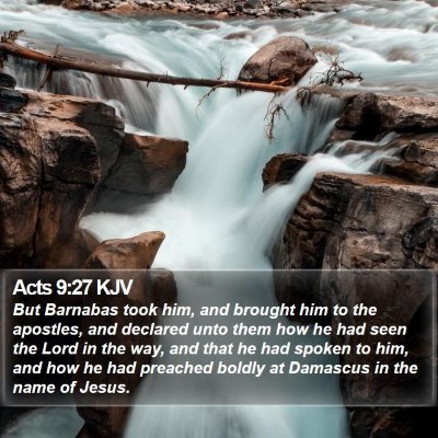Acts 9:27 KJV Bible Verse Image