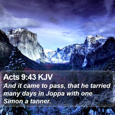 Acts 9:43 KJV Bible Verse Image