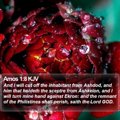 Amos 1:8 KJV Bible Verse Image