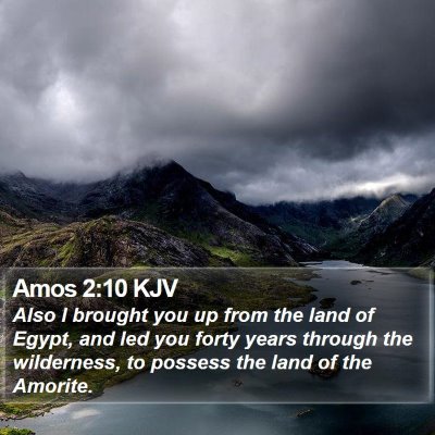Amos 2:10 KJV Bible Verse Image