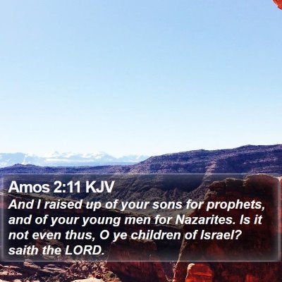 Amos 2:11 KJV Bible Verse Image