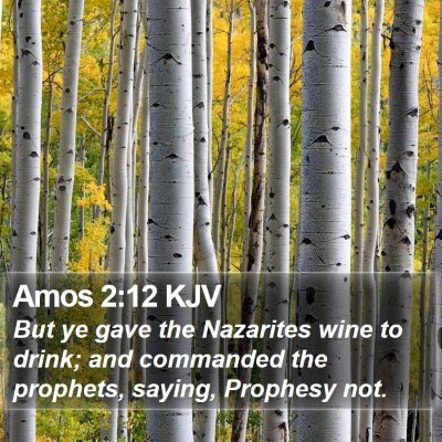 Amos 2:12 KJV Bible Verse Image