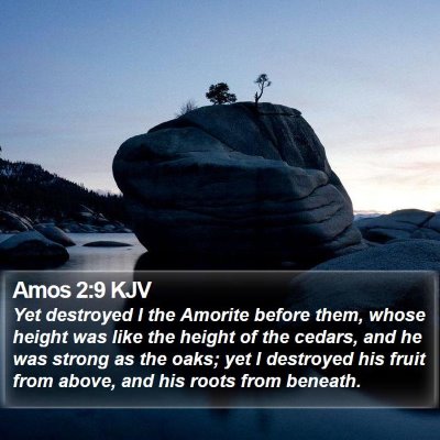 Amos 2:9 KJV Bible Verse Image