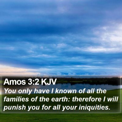 Amos 3:2 KJV Bible Verse Image