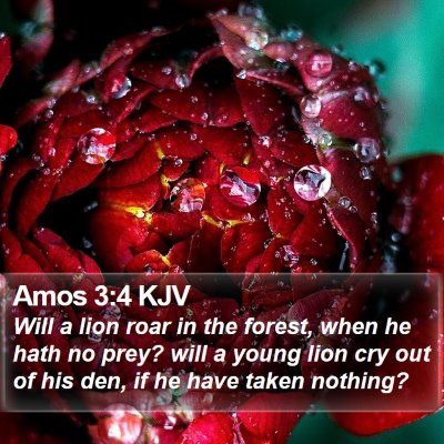 Amos 3:4 KJV Bible Verse Image