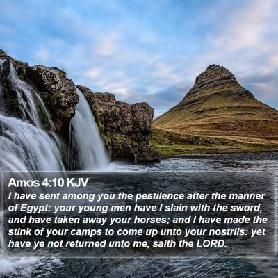 Amos 4:10 KJV Bible Verse Image