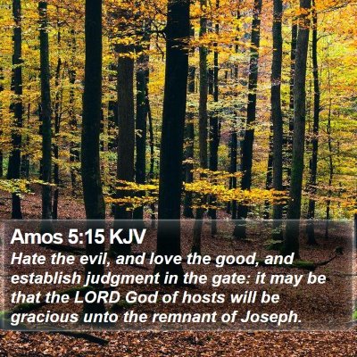 Amos 5:15 KJV Bible Verse Image
