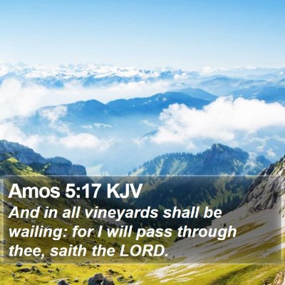 Amos 5:17 KJV Bible Verse Image