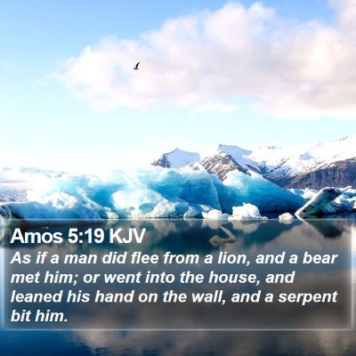 Amos 5:19 KJV Bible Verse Image