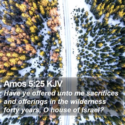 Amos 5:25 KJV Bible Verse Image