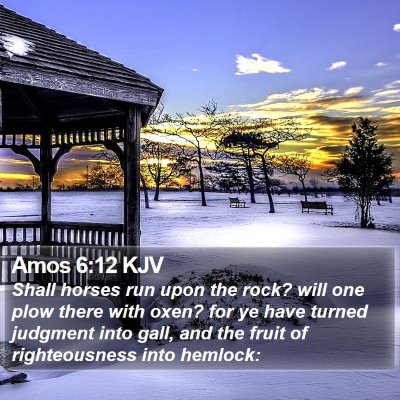 Amos 6:12 KJV Bible Verse Image