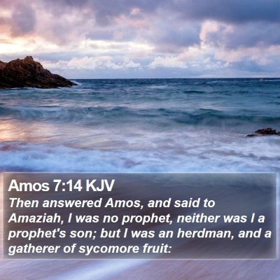 Amos 7:14 KJV Bible Verse Image