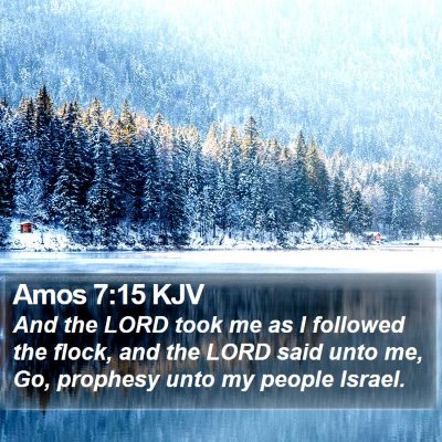 Amos 7:15 KJV Bible Verse Image