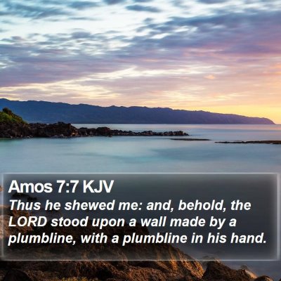 Amos 7:7 KJV Bible Verse Image