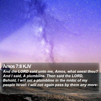 Amos 7:8 KJV Bible Verse Image